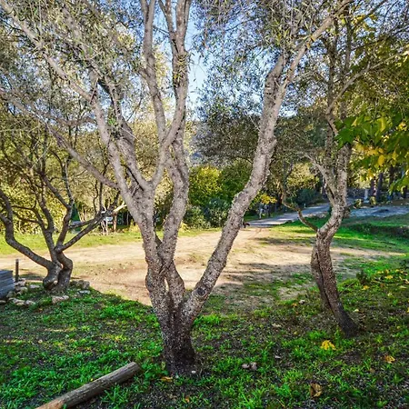 Camping Stunning Caravan In Belvedere Campomoro With 2 Bedrooms